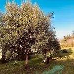 Bed & Breakfast Julieta-casolare Di Campagna Recentemente Ristrutturato *