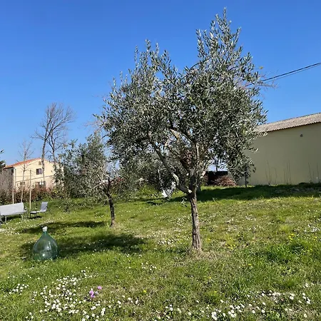 Julieta-casolare Di Campagna Recentemente Ristrutturato Belvedere Ostrense